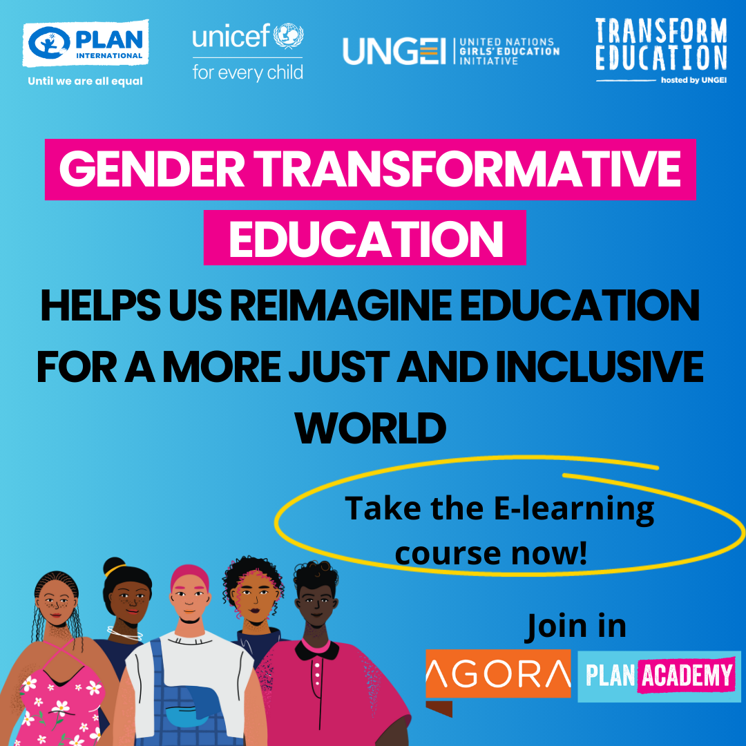 Feminist Network For Gender Transformative Education Ungei 5405